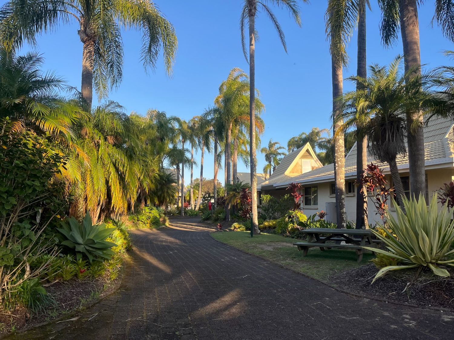 Palm-lined garden pathway at NILORA Resorts and Hotels Port Macquarie
